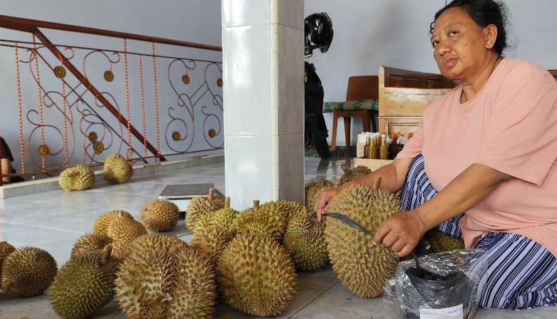 Nikmatnya Sensasi Makan Durian Di Lereng Kaki Gunung Wilis Kediri