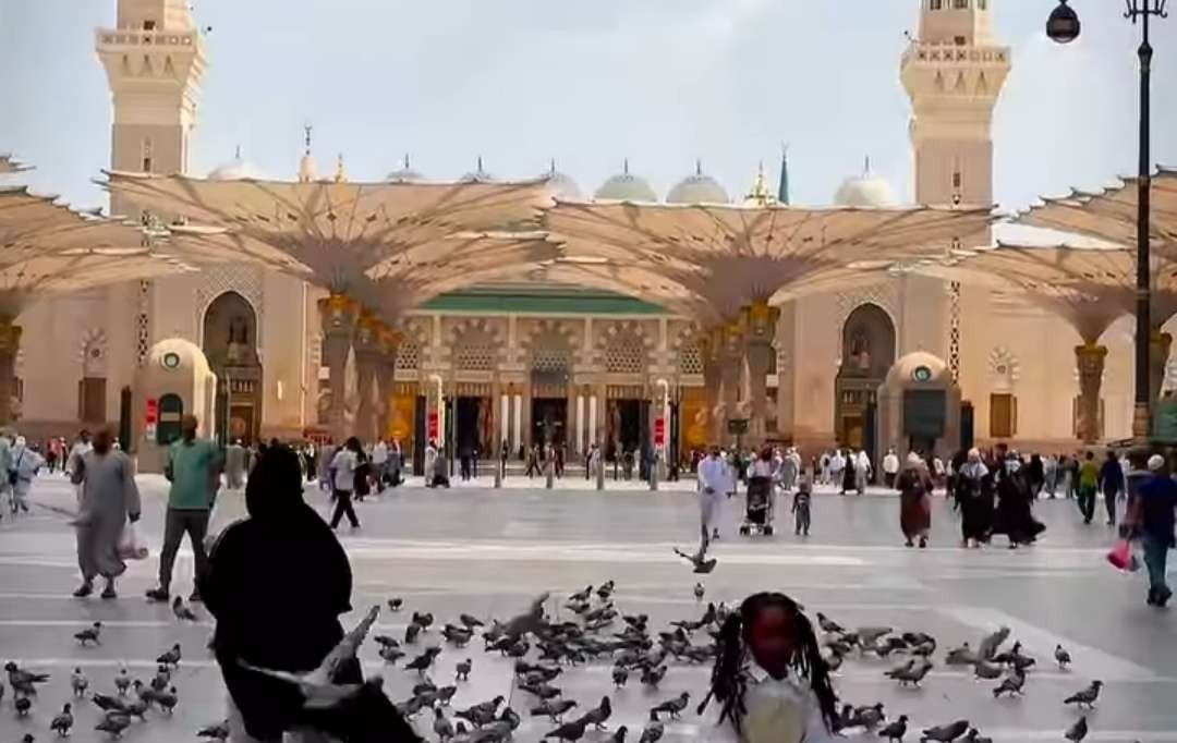 Suasana di Masjid Nabawi Madinah, sekelompok burung merpati dipelihara. (Foto:dok/ngopibareng.id)