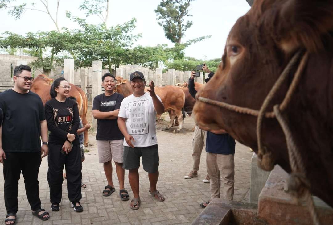 Bupati Kediri Hanindhito Himawan Pramana bersama istri Eriani Annisa Hanindhito membeli empat ekor sapi jumbo  untuk dikurbankan di Hari Raya Idul Adha 1445 Hijriah. (Foto: Istimewa)