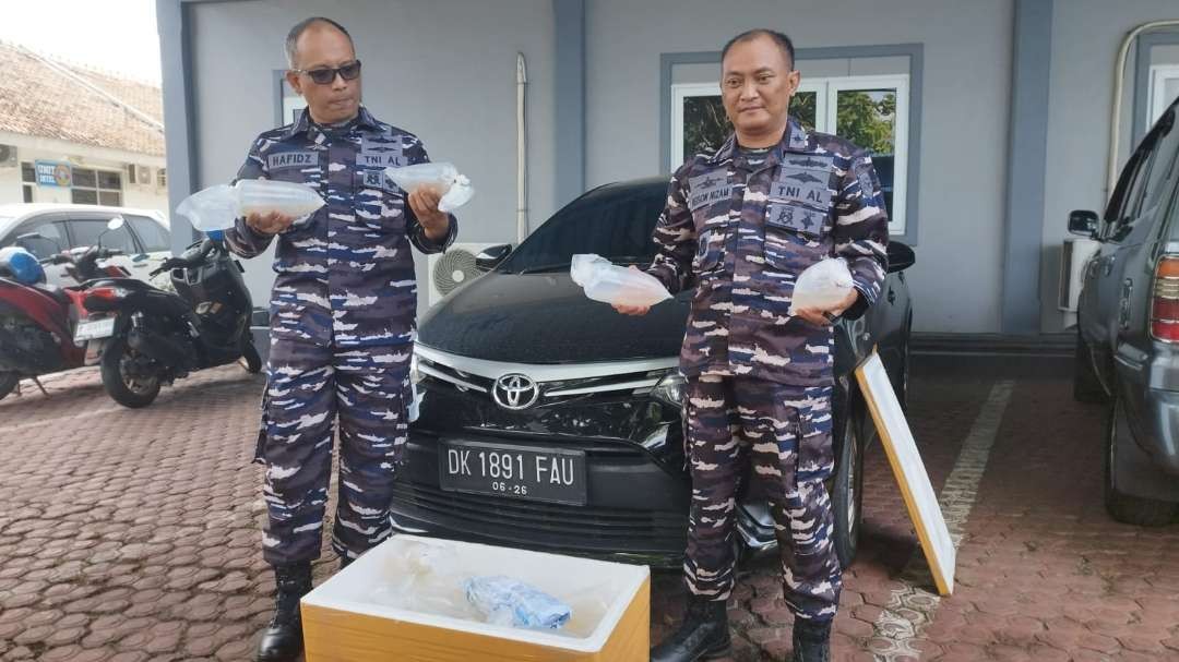 Komandan Lanal Banyuwangi, Letkol Laut (P) Hafidz menunjukkan barang bukti benih lobster dan mobil yang digunakan pelaku untuk mengangkut barang tersebut (foto: Muh Hujaini/Ngopibareng.id)