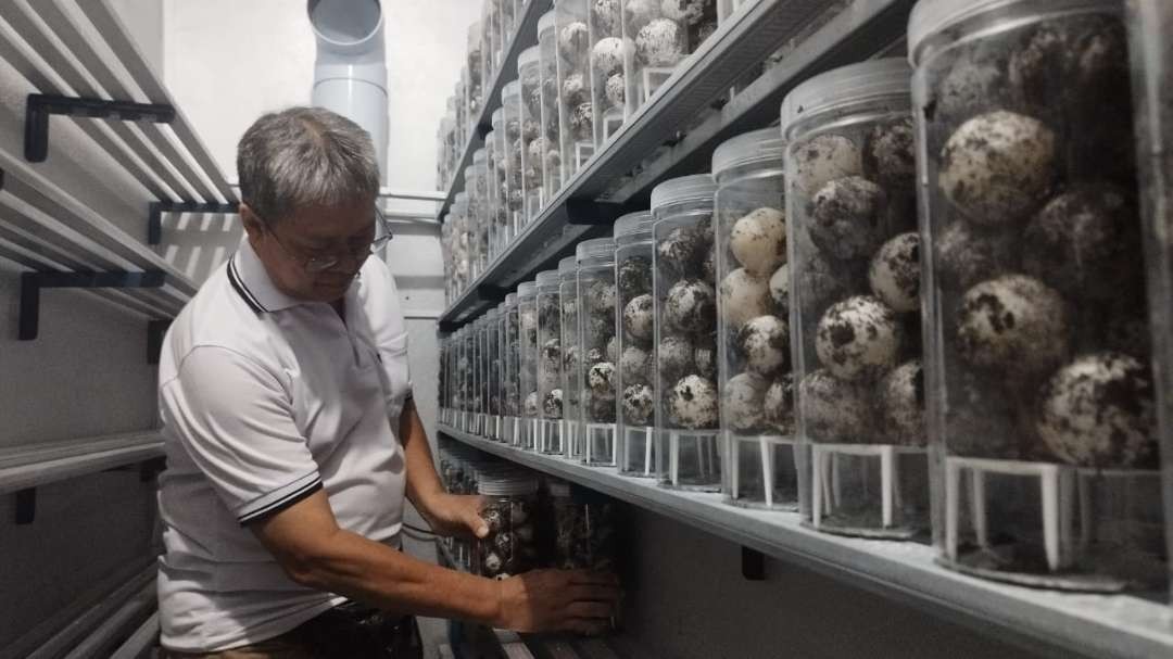 Founder BSTF menata toples berisi telur penyu di dalam Intan Ruang (foto: Muh Hujaini/Ngopibareng.id)