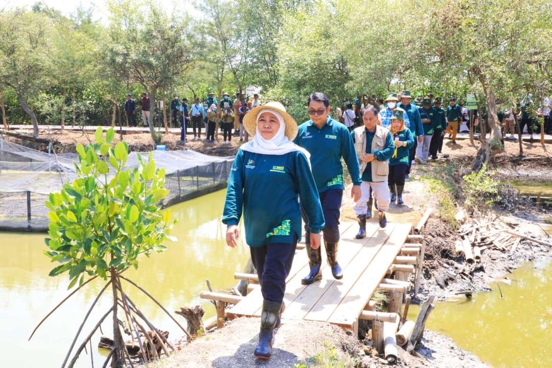 Gubernur Jawa Timur periode 2019-2024, Khofifah Indar Parawansa, tengah berjalan di antara tanaman bakung di pinggiran di pantai guna memperingati Hari Lingkungan Hidup Tahun 2024. (Foto: Istimewa)