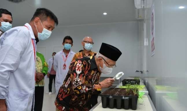 Wapres meninjau laboratorium perkebunan tebu di Merauke Papua Selatan. (Foto: Setwapres)