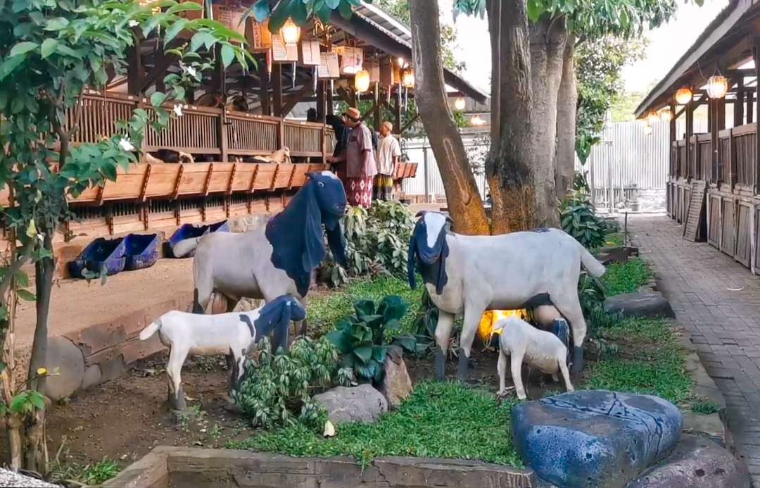 Suasana kandang kambing asri tak berbau ini terletak di Sidoarjo. (Foto: Aini/Ngopibareng.id)