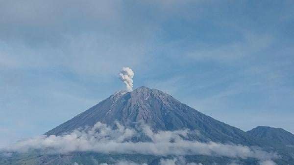 Gunung Semeru kembali erupsi pada Sabtu, 8 Juni 2024 pukul 07.12 WIB. Tinggi kolom abu mencapai 600 meter di atas puncak. (Foto: PVMBG)