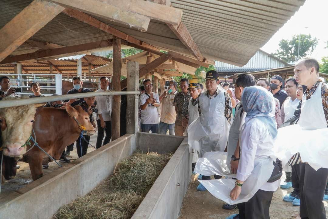 Bupati Lamongan, Yuhronur Efendi saat mendampingi Pj Gubernur Jatim, Adhy Karyono mengunjungi peternak Lamongan. (Foto: Istimewa)