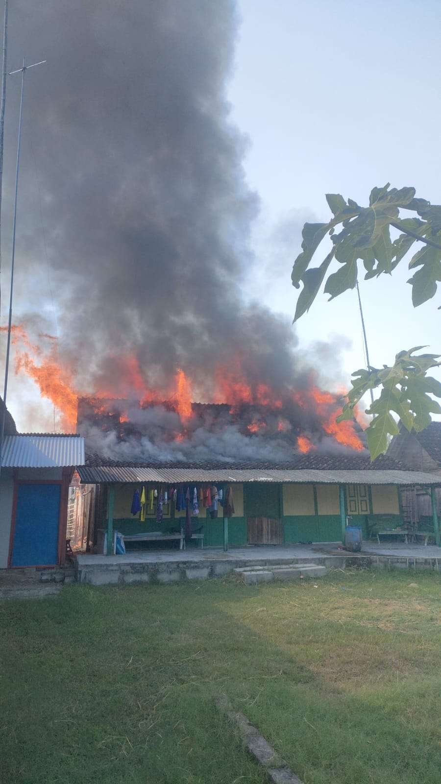 Sebuah rumah di Desa Sugihwaras Kecamatan Ngraho, Kabupaten Bojonegoro terbakar pada Selasa 11 Juni 2024. (Foto: dok. damkarmat)