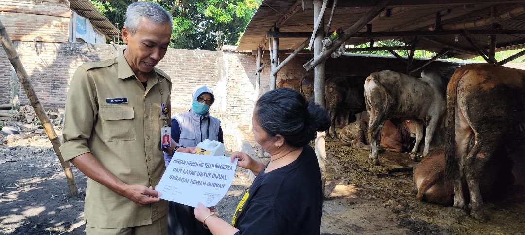 Kepala Dinas Dinas Ketahanan Pangan dan Peternakan (DKPP) Kota Kediri, M Ridwan menyatakan, hewan kurban yang dijual Nur Kholifah sehat. (Foto: Fendi Lesmana/Ngopibareng.id)