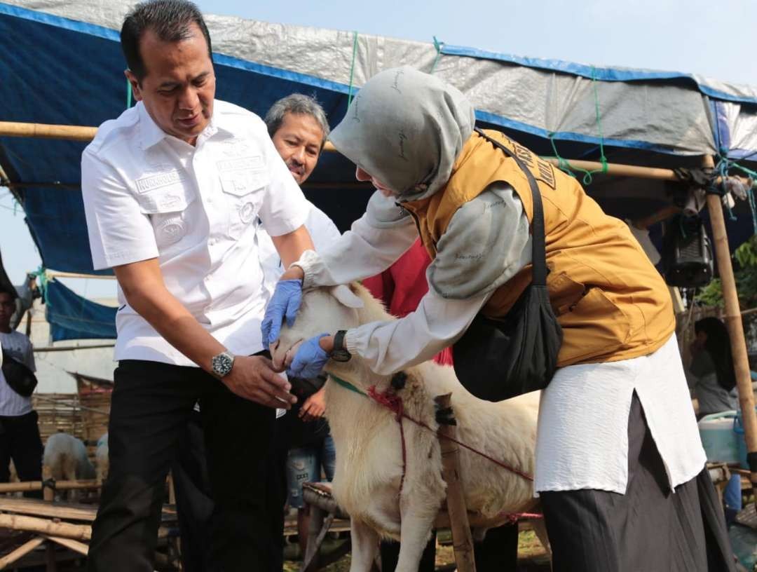 Pj Walikota Probolinggo, Nurkholis (kiri) saat memimpin Sidak hewan kurban. (Foto: Ikhsan Mahmudi/Ngopibareng.id).