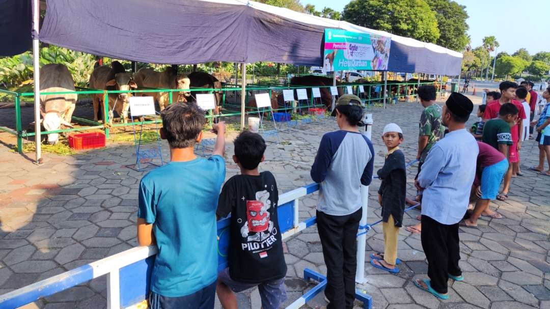 Sejumlah jamaah menyaksikan sapi qurban milik Presiden Joko Widodo di Masjid Al Akbar Surabaya, Minggu 16 Juni 2024. (Foto: Fariz Yarbo/Ngopibareng.id)