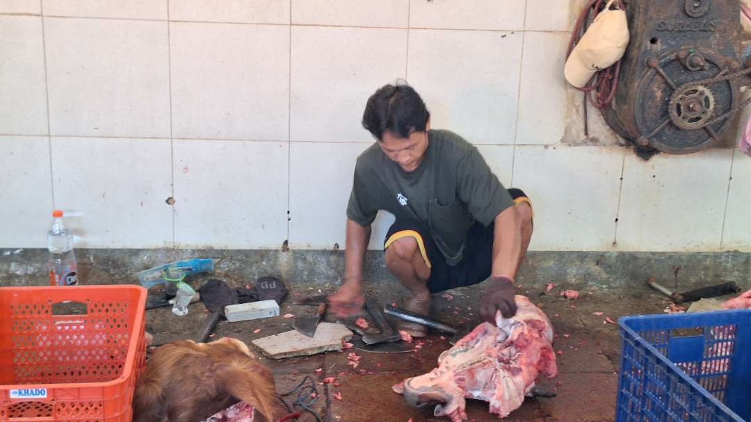 Proses pengulitan dan pemisahan organ-organ dalam kepala hewan kurban sapi, di RPH Kota Surabaya, Jalan Pegirian, Senin 17 Juni 2024. (Foto: Julianus Palermo/Ngopibareng.id)