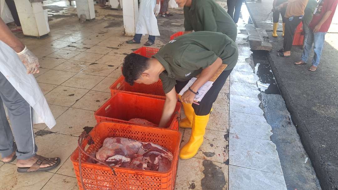 Salah seorang petugas sedang memeriksa daging hewan kurban sebelum dikemas, di RPH Kota Surabaya, Jalan Pegirian, Senin 17 Juni 2024. (Foto: Julianus Palermo/Ngopibareng.id)