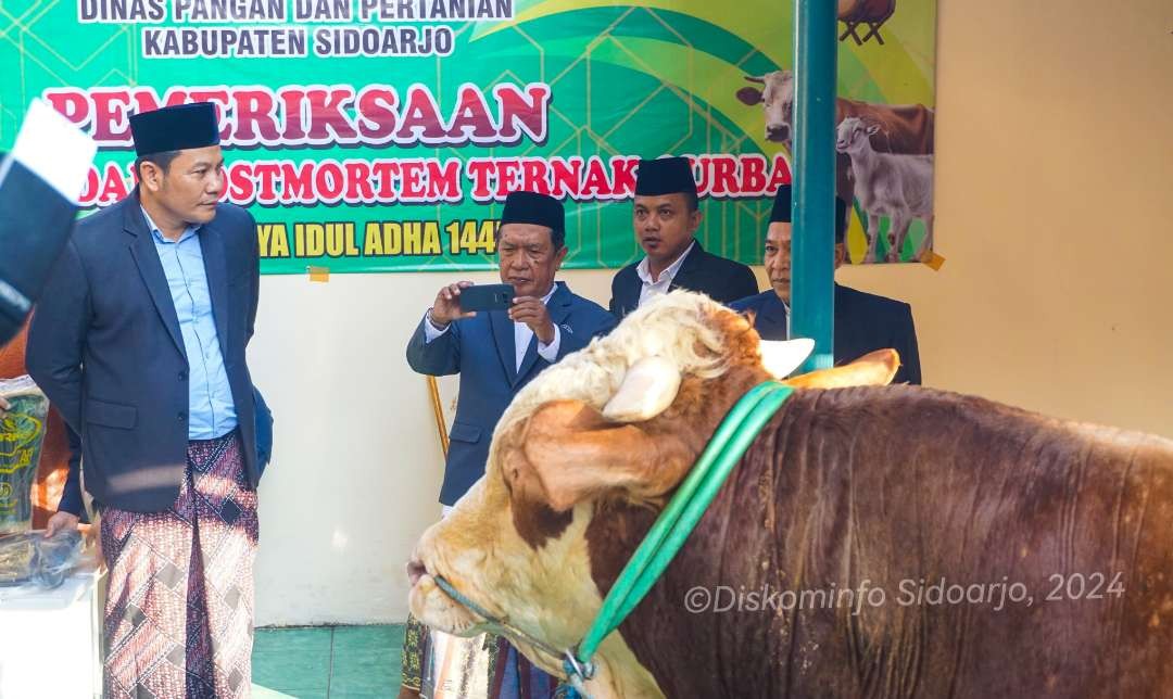 Plt Bupati Sidoarjo Subandi serahkan sapi kurban ke Masjid Agung Sidoarjo (Foto:Kominfo Sidoarjo)