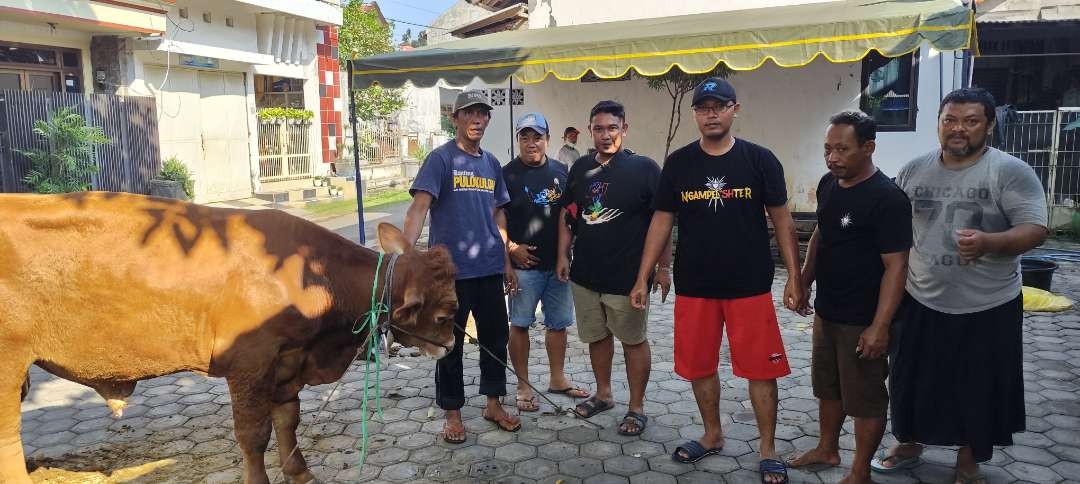 Puluhan pendekar PSHT Kediri gotong royong bantu warga potong hewan kurban. (Foto: Fendhy Lesmana/Ngopibareng.id)