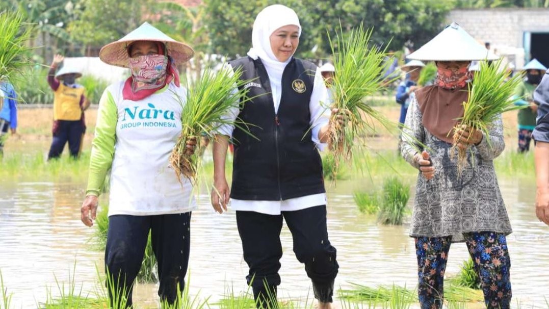 Khofifah Indar Parawansa menyampaikan apresiasi dan terima kasih kepada seluruh insan pertanian, yang turut menjaga ketahanan pangan. (Foto: Ist)