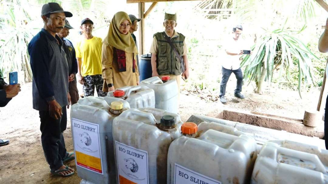 Bupati Banyuwangi melihat pengolahan kotoran ternak menjadi biogas dan pupuk cair. (Foto: Humas Pemkab Banyuwangi)