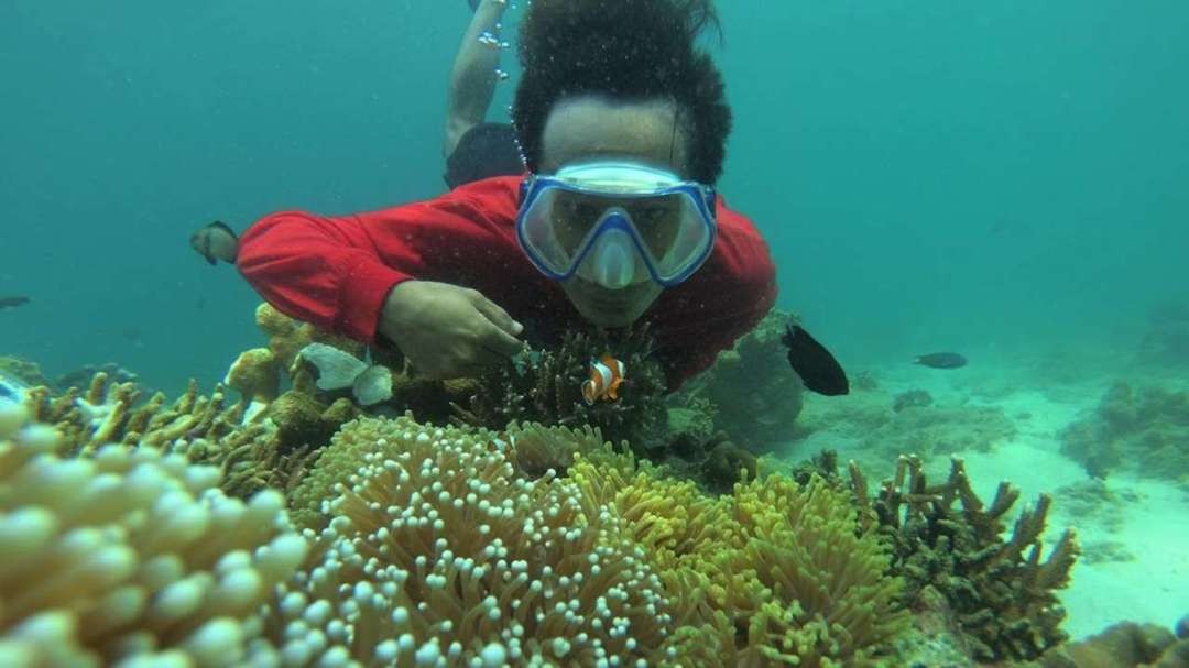 Wisatawan melakukan snorkeling di perairan laut Giliketapang, Kabupaten Probolinggo. (Foto: Ikhsan Mahmudi/Ngopibareng.id)