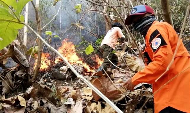 Anggota BPBD Situbondo bersama Damkar dan warga bergotong royong memadamkan api membakar hutan jati di Desa Lamongan, Kecamatan Arjasa secara manual. (Foto: Dok BPBD Situbondo)