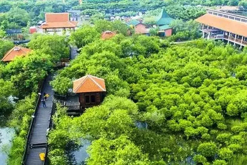 Kebun Raya Mangrove (KRM) Gunung Anyar Surabaya. (Foto: Istimewa)