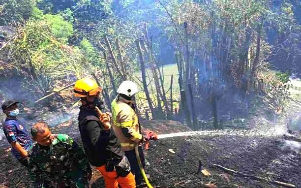 Anggota Damkar dan BPBD Bondowoso bergotong royong memadamkan api membakar hutan bambu dekat permukiman warga, Rabu 17 Juli 2024 siang.(Foto: Guido Saphan/Ngopibareng.id)