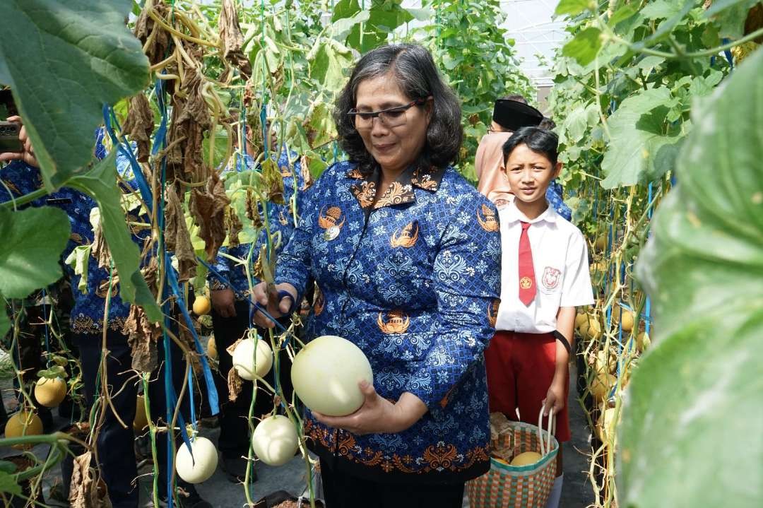 Pj Wali Kota Kediri Zanariah memetik melon bersama anak-anak di Kampung Tani Taman Kleco. (Foto: Istimewa)