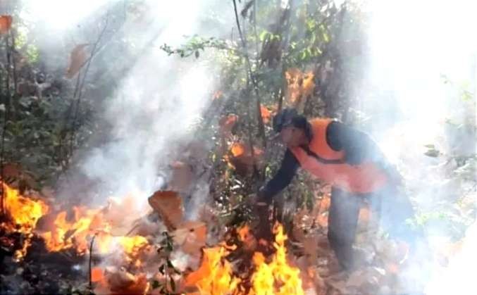 Anggota BPBD Situbondo memadamkan api membakar hutan jati milik Perhutani Bondowoso dengan gepyokan, karena lokasi sulit dijangkau mobil Damkar. (Foto: BPBD Situbondo)