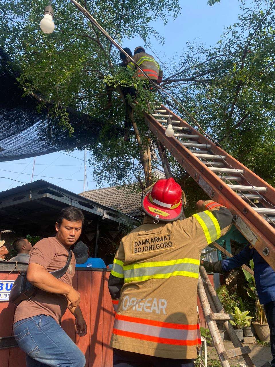 Evakuasi korban meninggal oleh tim Damkarmat, akibat tersengat listrik di dekat Cafe Daun di Desa Balenrejo, Kecamatan Balen, Kabupaten Bojonegoro, pada Jumat 19 Juli 2024. (Foto: dok. damkarmat)