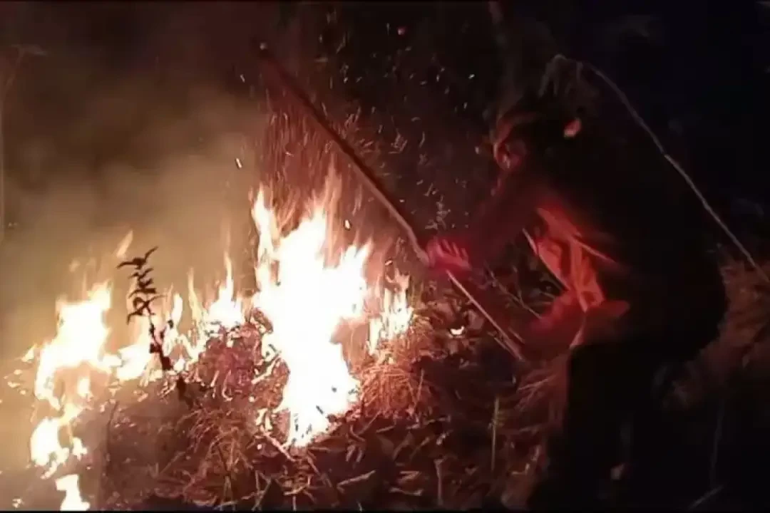 Hutan produksi seluas dua hektare di lereng Gunung Jaaz, Kelurahan, Kabupaten Trenggalek, Jawa Timur terbakar, Minggu, 21 Juli 2024 malam. (Foto: BPBD Trenggalek)