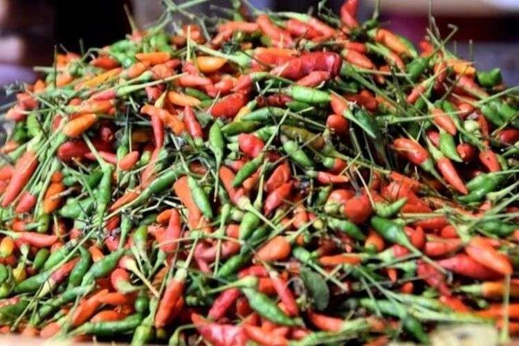 Salah seorang pedagang cabai rawit di pasar di Kota Probolinggo. (Foto: Ikhsan Mahmudi/Ngopibareng.id)