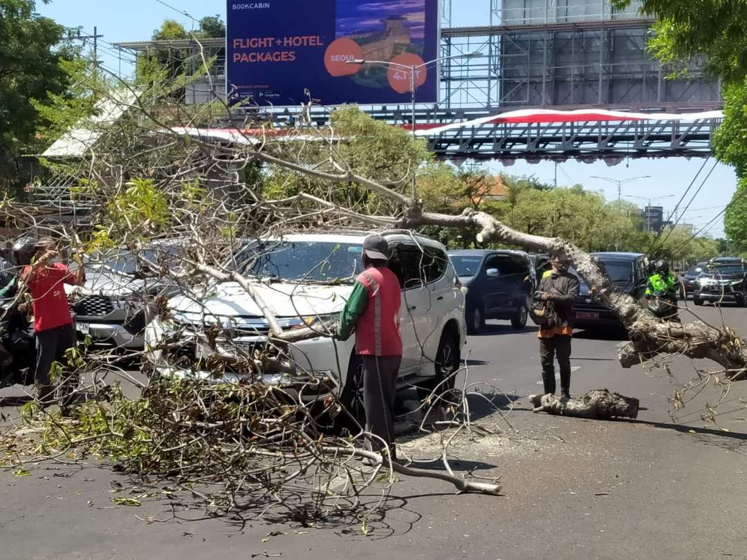 Sebuah pohon tumbang menimpa mobil SUV di depan RSUD Dr Soetomo, Surabaya, Selasa 23 Juli 2024. (Foto: Istimewa)