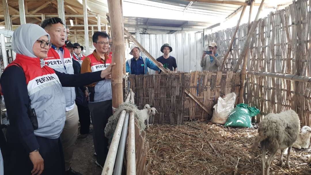 Tim dari PEPC mengunjungi salah satu peternakan di Sekitar kawasan tambang di Kecamatan Ngasem, Kabupaten Bojonegoro, pada Rabu 24 Juli 2024. (Foto: dok.pepc)