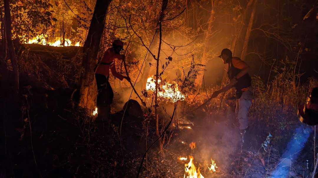 Kejadia kebakaran hutan dan lahan di Kabupaten Ponorogo. (Foto: dok. BPBD)