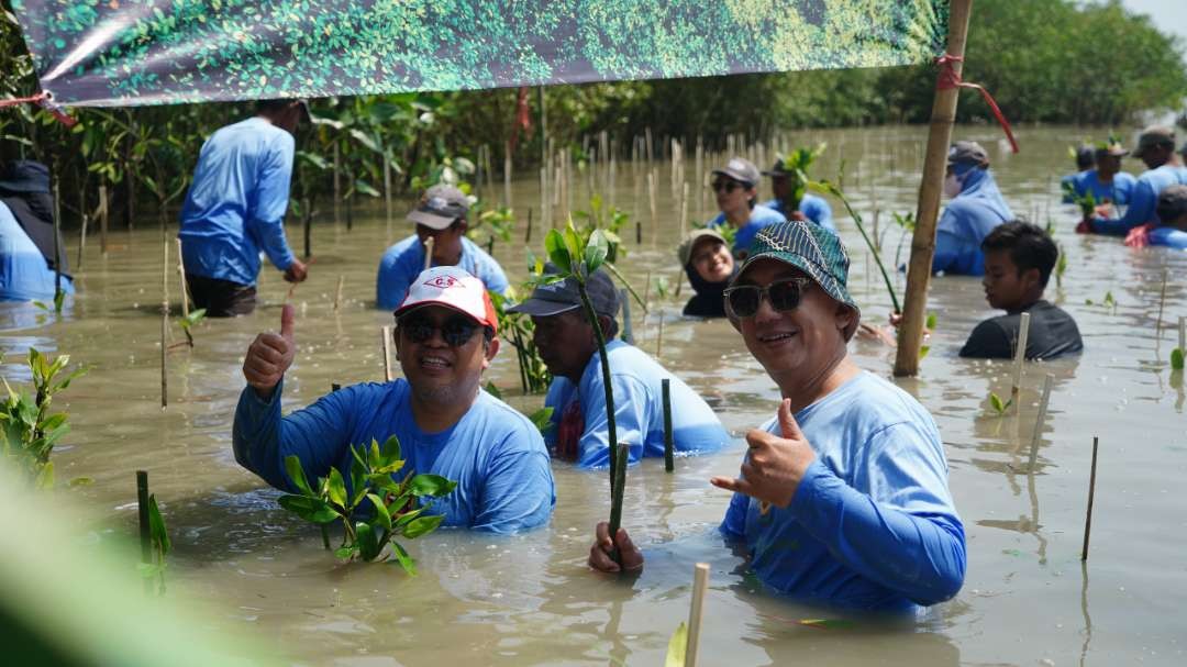 Karyawan PT Smelting bersama komunitas pecinta, mahasiswa dan masyarakat menanam 1.000 bibit mangrove di lahan konservasi mangrove Desa Pangkah Kulon. (Foto: Dok PT Smelting)