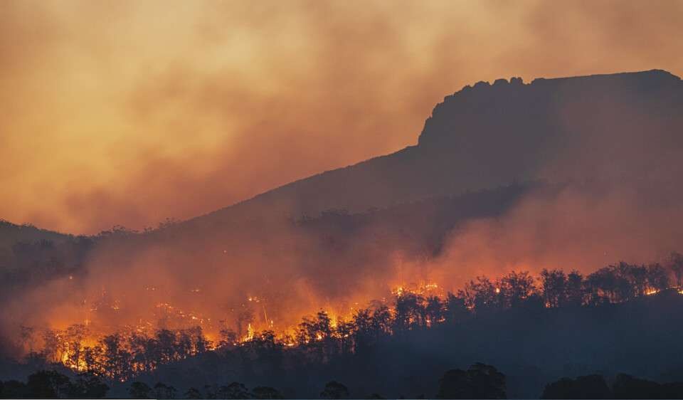 Kebakaran menimpa kawasan hutan rakyat di Gunung Gombak, Dusun Krajan, Desa Muneng, Kecamatan Balong, Kabupaten Ponorogo, Jawa Timur. (Foto: Ant)