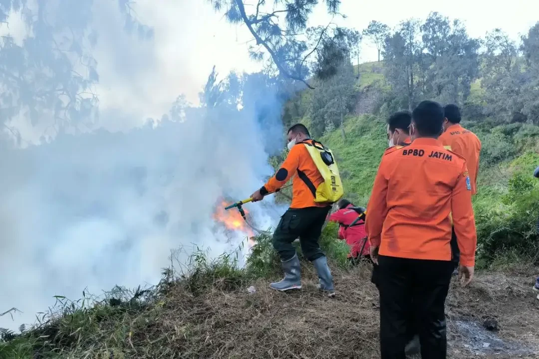 BPBD Jatim berjibaku memadamkan api yang membakar ilalang di daerah Penanjakan Bromo, Kecamatan Tosari, Pasuruan. (Foto: Dok BPBD Jatim)