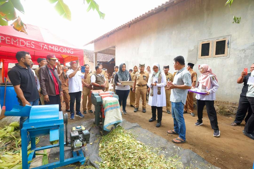 Bupati Banyuwangi Ipuk Fiestiandani menyaksikan pembuatan pakan ternak fermentasi. (Foto: Humas Pemkab Banyuwangi)