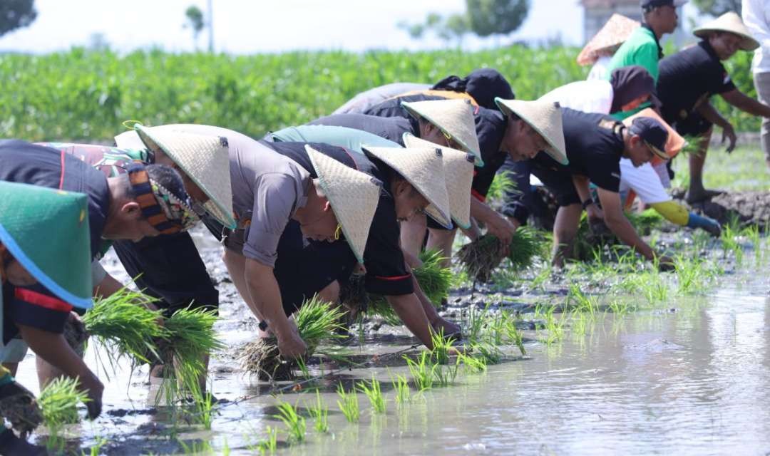 Pengawas Mutu Hasil Pertanian (PMHP) Direktorat Serealia Kementan Hasnul Fajri bersama Kepla Dipertahankan Ponorogo Supriyanto melakukan penanaman perdana benih padi Nutri Zinc di Tegalsari, Jetis, Ponorogo, Rabu 7 Agustus 2024. (Foto: dok. Kominfo Ponorogo)