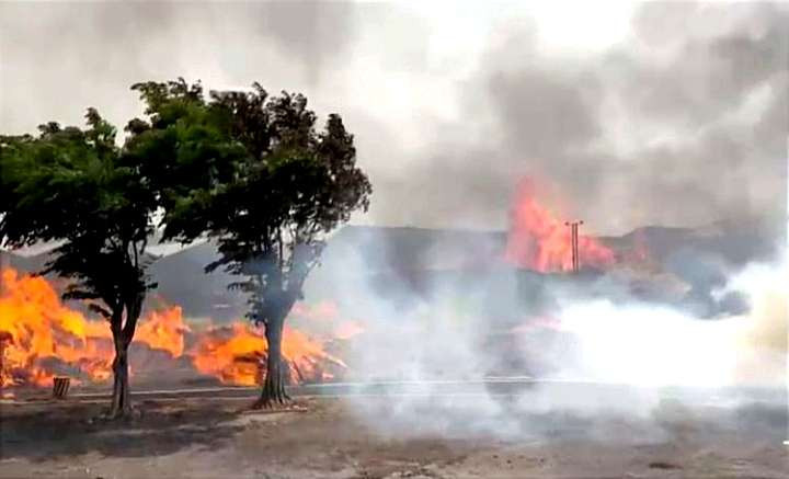 Semak belukar dan rerumputan kering di jalur Savana Bekol Taman Nasional Baluran Situbondo terbakar sejak Jumat 9 Agustus 2024. (Foto: Instagram TN Baluran)