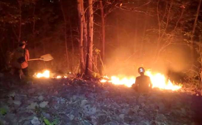 Gabungan anggota BPBD dan Damkar Bondowoso dibantu warga desa memadamkan titik api membakar kawasan hutan jati arak-arak Wringin Bondowoso dengan gepyokan. (Foto: BPBD Bondowoso)