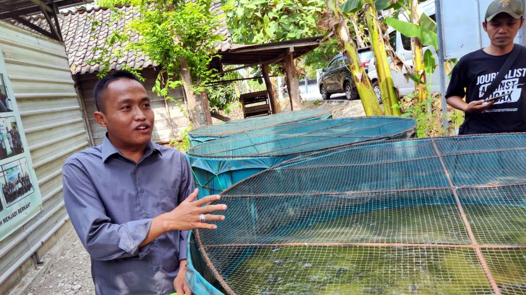 Pengawas BSM-KH, Imam Muhlas menunjukkan kondisi saat pemberian maggot ke dalam kolam lele. (Foto: Fariz Yarbo/Ngopibareng.id)