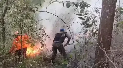 Kebakaran hutan melanda wilayah Desa Karangsoko, Kecamatan Trenggalek, tepatnya di Gunung Orak-Arik pada Selasa, 27 Agustus 2024. (Foto: Dok BPBD Trenggalek)