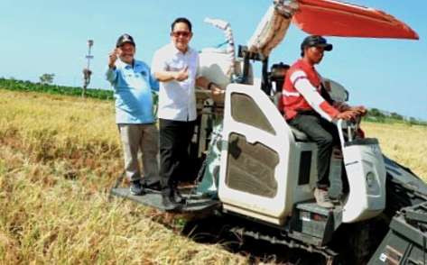 Pj Gubernur Jatim Adhy Karyono didampingi Bupati Situbondo Karna Suswandi panen raya. (Foto: Dispertapang Situbondo)