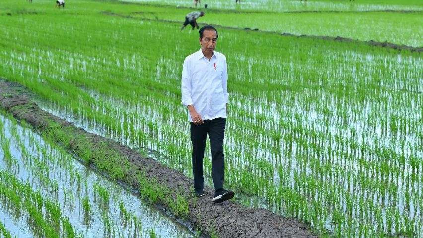 Presiden Jokowi menerima penghargaan Agricola Medal sebagai bentuk apresiasi terhadap ketahanan pangan Indonesia. (Foto: Istimewa)