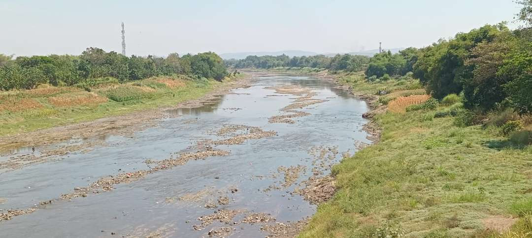 Sungai Bengawan Solo yang melintas di bawah Jembatan Sosorodilogo, Kecamatan Kota Bojonegoro, nampak mulai dangkal. Foto diambil pada Jumat 30 Agustus 2024. (Foto: Sujatmiko/Ngopibareng.id)