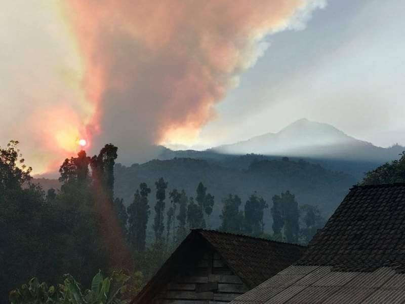 Asap tebal membumbung tinggi akibat kebakaran hutan dan lahan (karhutla) di lereng Gunung Argopuro. (Foto: Istimewa)