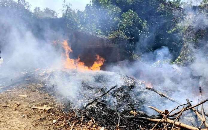 Tumpukan sampah terbakar dipicu punting rokok dibuang sembarangan nyaris membakar atap Gedung SMKN 1 Bondowoso. (Foto: Guido/Ngopibareng.id)