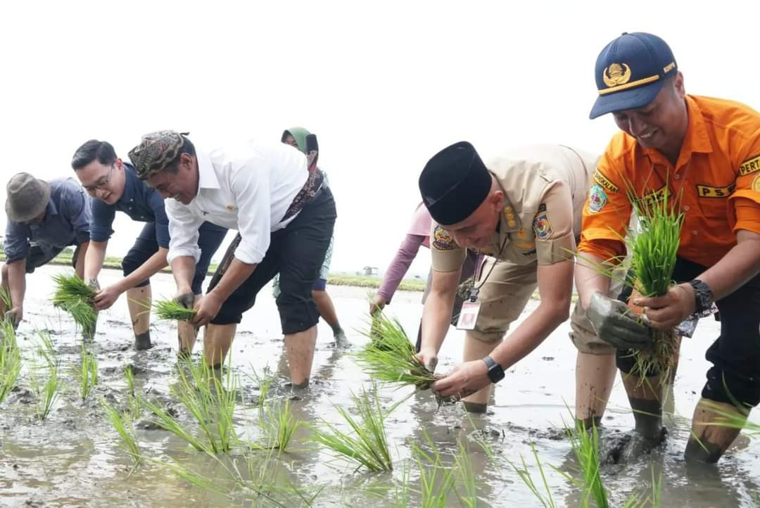 Menteri Pertanian (Mentan) Republik Indonesia Dr. Ir. H. Amran Sulaiman, MP dan Pj Bupati Bangkala Arief M Edie ikut tanam padi di Dusan Kencat, Kelurahan Bancaran, Bangkalann, Selasa 14 Mei 2024. (Foto: dok. Bangkalan.kab)