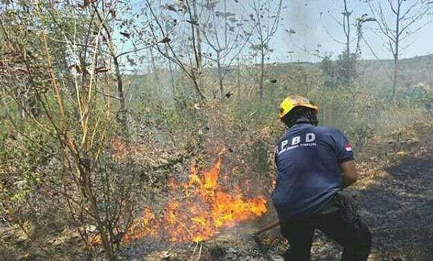 Laham seluas 3 hektare milik Perhutani Bondowoso terbakar bisa cepat dipadamkan setelah turun hujan ringan.(Foto: Humas BPBD Bondowoso)