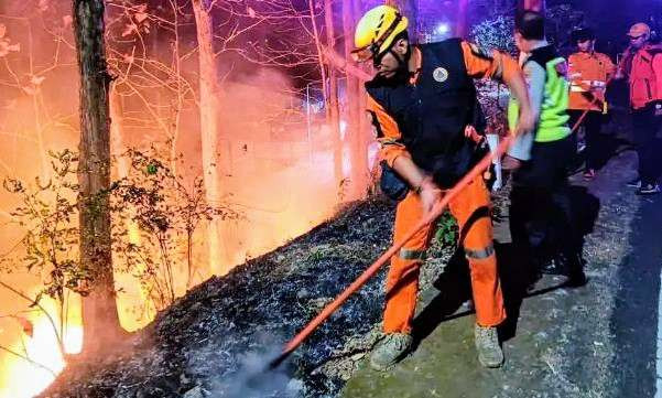 Anggota BPBD dan Damkar Bondowoso bekerja ekstrakeras memadamkan api membakar hutan jati 1 hektar di Jalur Arak- arak Wringin Bondowoso, Kamis 3 Oktober 2024 malam.(Foto: Humas BPBD Bondowoso)