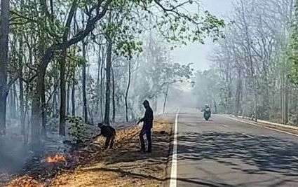 Dampak hutan jati terbakar, Jalur Pantura Situbondo di Jalan Raya TN Baluran diselimuti asap mengganggu pandangan pengendara kendaraan.(Foto: Humas TN Baluran Situbondo)